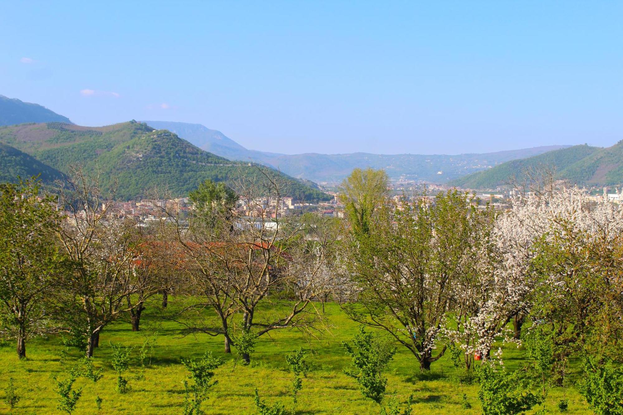 Caledonia B&B 메르카토 산 세베리노 외부 사진