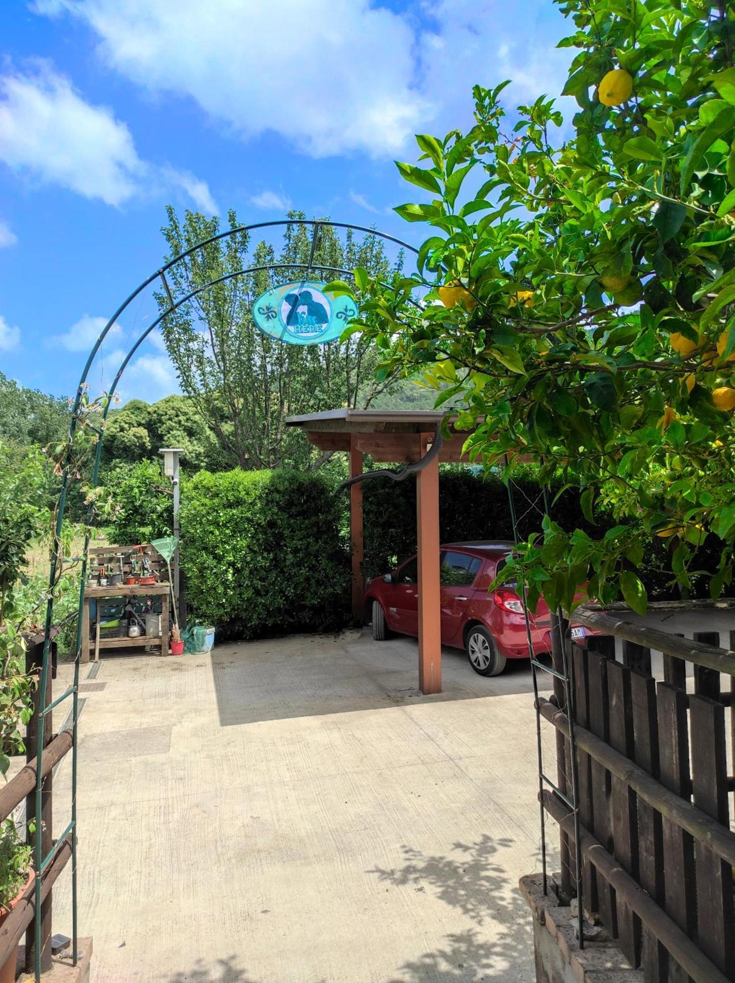 Caledonia B&B 메르카토 산 세베리노 외부 사진