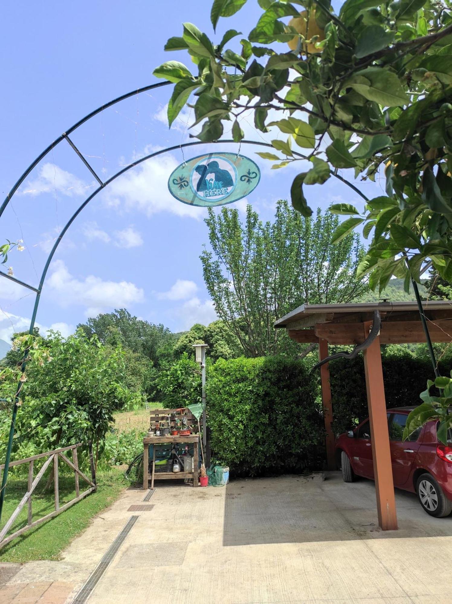 Caledonia B&B 메르카토 산 세베리노 외부 사진