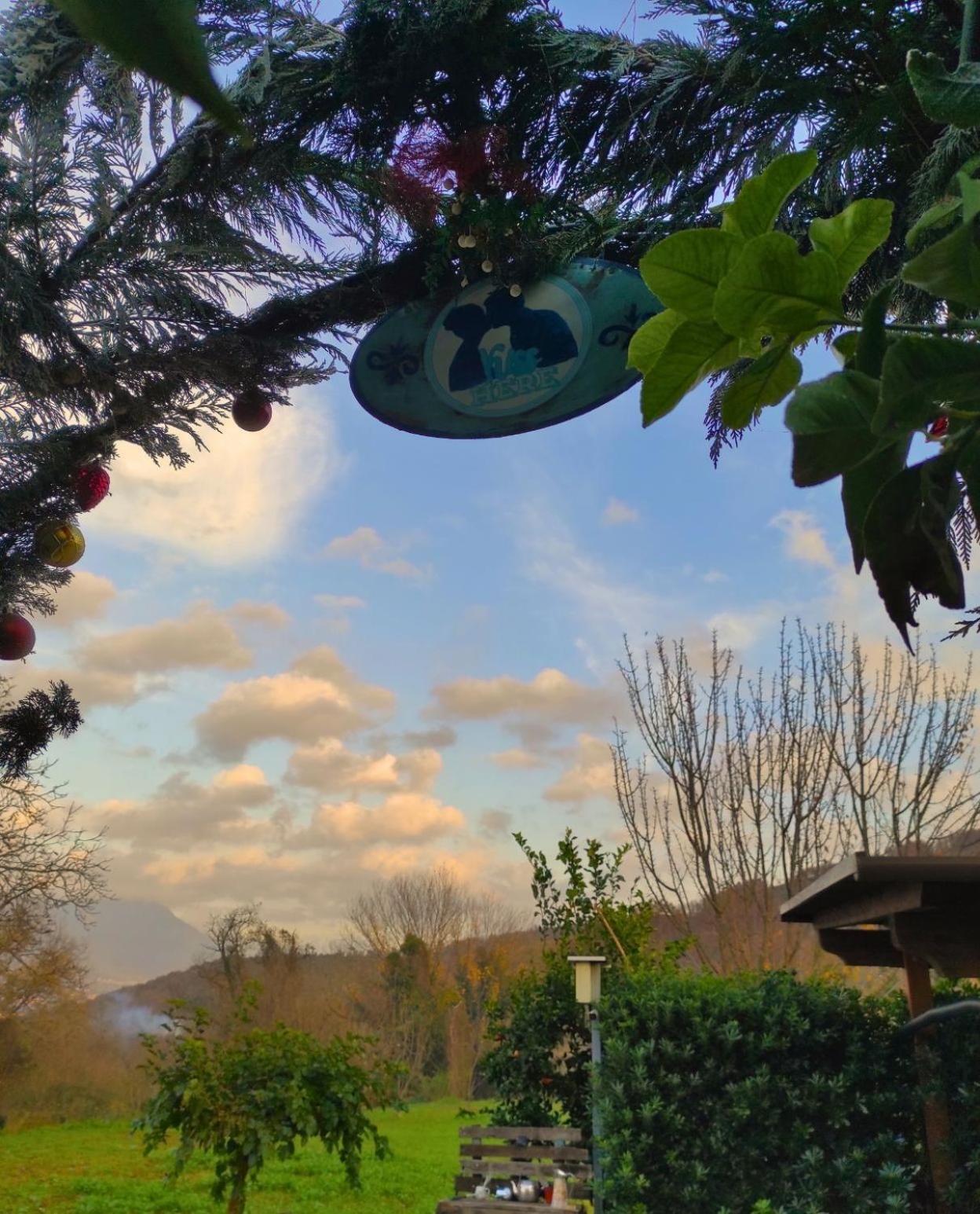 Caledonia B&B 메르카토 산 세베리노 외부 사진